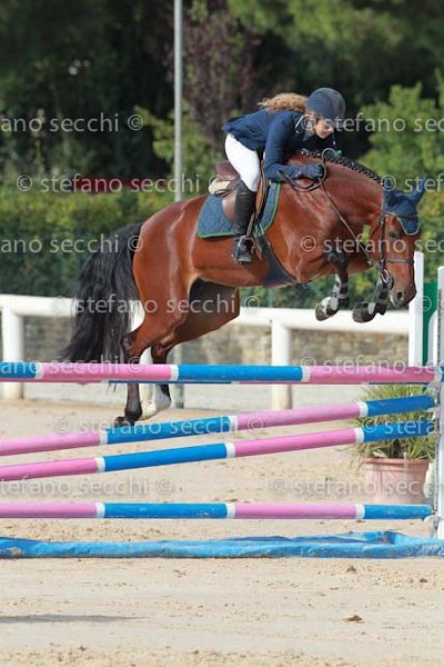 RANZATO_AMARENA_GIO CAV 2011_(210) SS3_0337.jpg